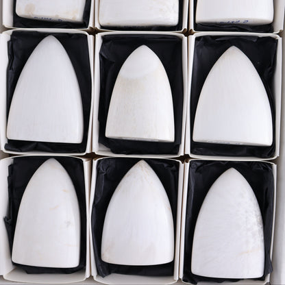 Scolecite Freeforms Flat of 12 - Expert Wholesale and Supplier of Wholesale Crystals & Bulk Gemstones, ["Freeforms","India","Scolecite"]