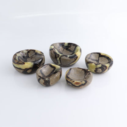 Septarian Bowls Set of 5