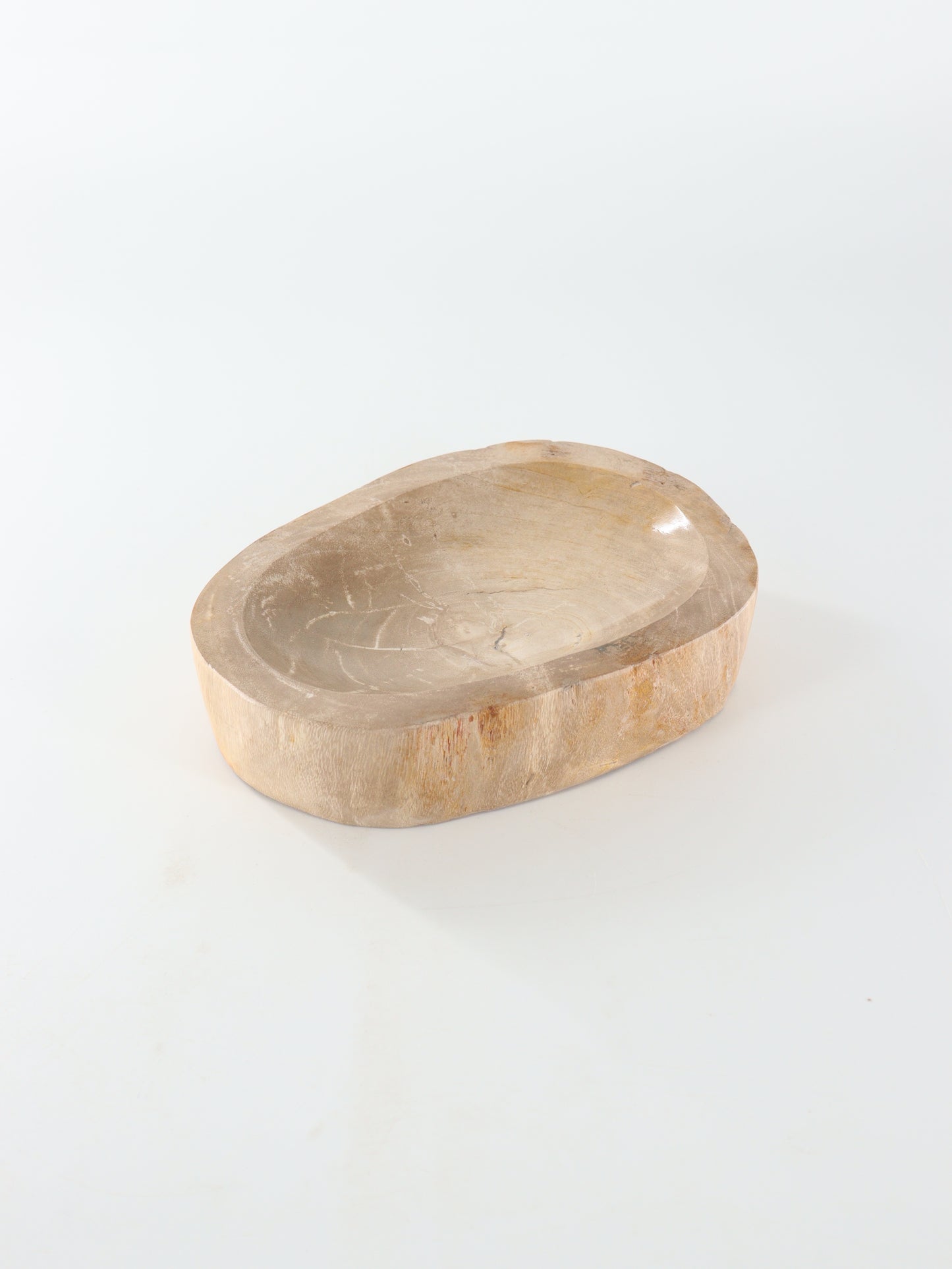 Petrified Wood Bowl - Expert Supplier of Wholesale Crystals & Bulk Gemstones