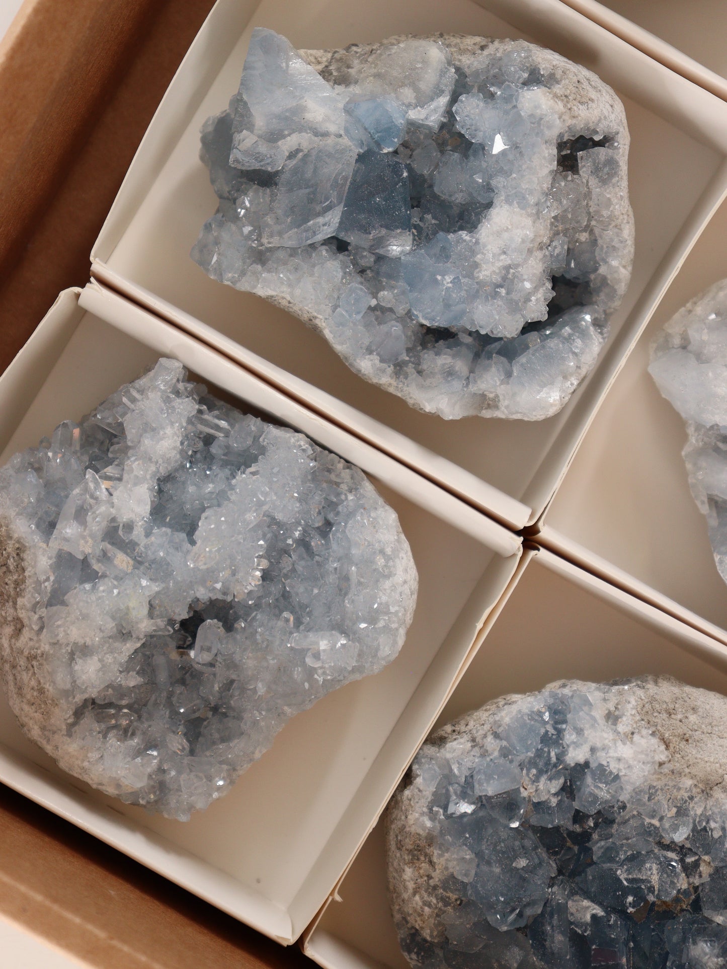 Celestite Clusters Set of 6 - Expert Wholesale and Supplier of Wholesale Crystals & Bulk Gemstones, []