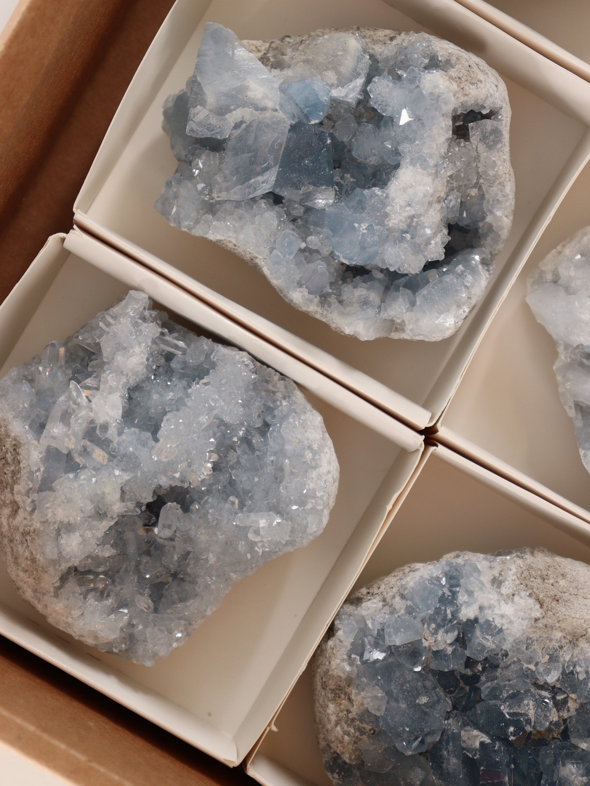 Celestite Clusters Set of 6 - Expert Wholesale and Supplier of Wholesale Crystals & Bulk Gemstones, []