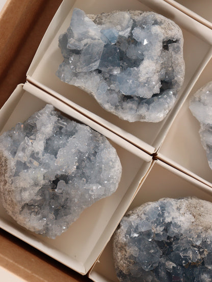 Celestite Clusters Set of 6 - Expert Wholesale and Supplier of Wholesale Crystals & Bulk Gemstones, []