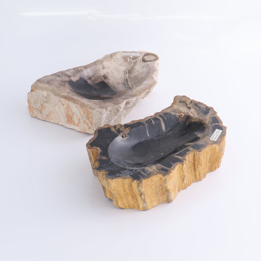 Petrified Wood Bowls Set of 2