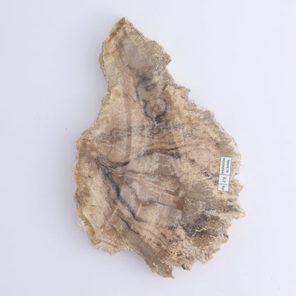 Petrified Wood Slices & Slabs Set of 3 - Expert Wholesale and Supplier of Wholesale Crystals & Bulk Gemstones, ["Freeforms","Indonesia","Petrified Wood","Slices and Slabs"]