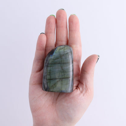 Labradorite Freeform Set of 7 - Expert Wholesale and Supplier of Wholesale Crystals & Bulk Gemstones, ["Freeforms","Labradorite","Madagascar"]