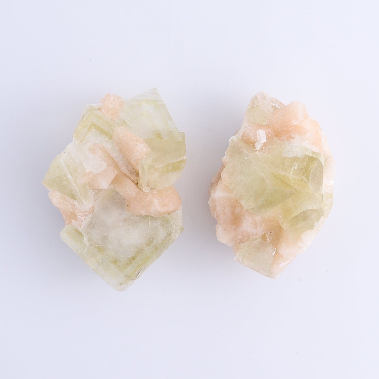 Apophyllite Clusters Flat of 6 - Expert Wholesale and Supplier of Wholesale Crystals & Bulk Gemstones, ["Apophyllite","Clusters","Flats"]