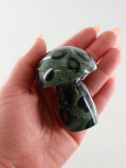 Kambaba Jasper Set of 8 - Expert Wholesale and Supplier of Wholesale Crystals & Bulk Gemstones, []