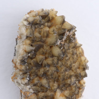 Dogtooh Calcite Rough