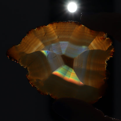 Iris Agate Slices Set of 9 - Expert Wholesale and Supplier of Wholesale Crystals & Bulk Gemstones, ["Agate","Iris Agate","Slices and Slabs"]