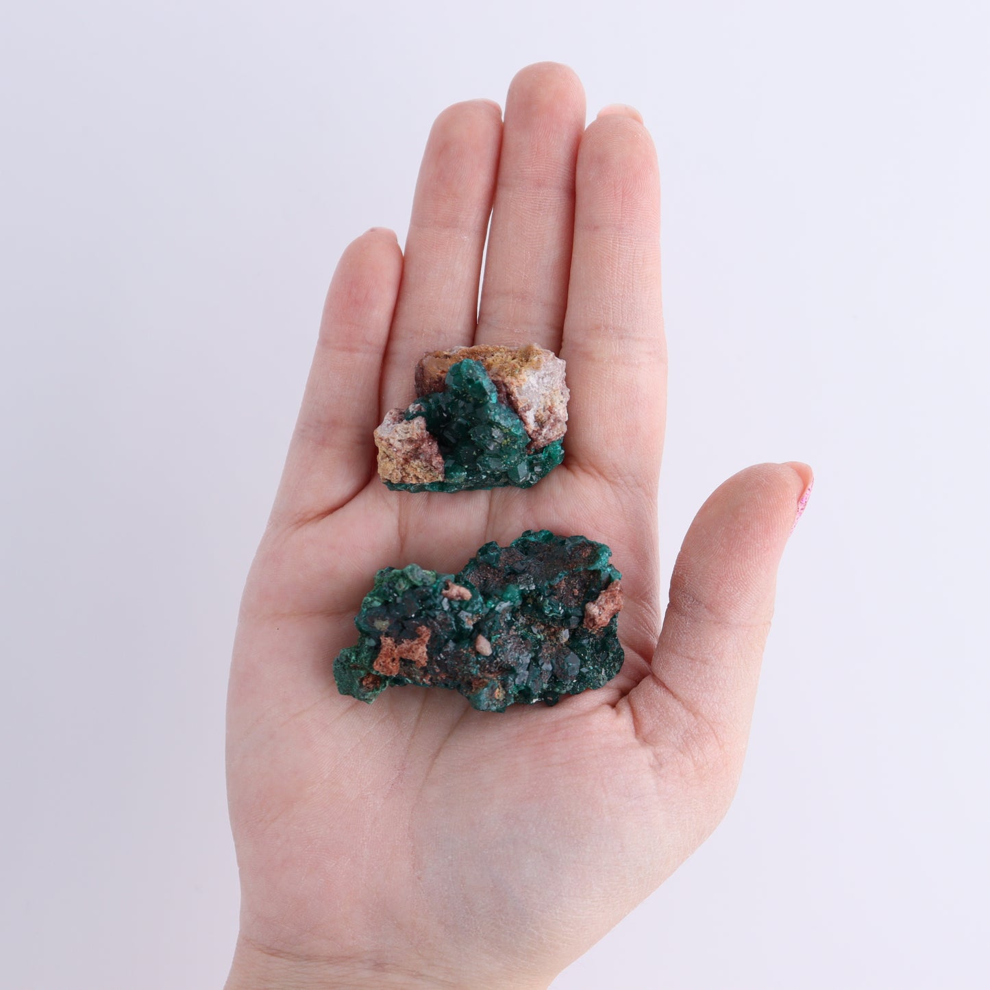 Dioptase Set of 12 - Expert Wholesale and Supplier of Wholesale Crystals & Bulk Gemstones, ["dioptase","Freeform","Freeforms"]