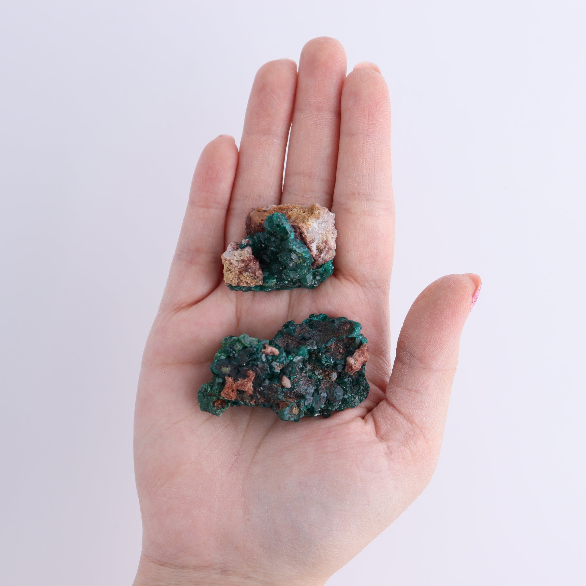 Dioptase Set of 12 - Expert Wholesale and Supplier of Wholesale Crystals & Bulk Gemstones, ["dioptase","Freeform","Freeforms"]