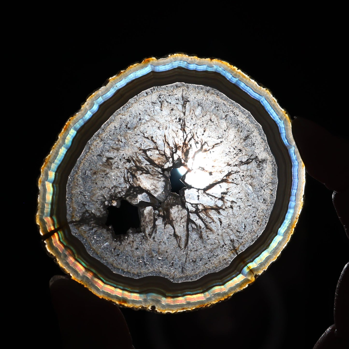 Iris Agate Slices Set of 6 - Expert Wholesale and Supplier of Wholesale Crystals & Bulk Gemstones, ["Agate","Iris Agate","Slices and Slabs"]