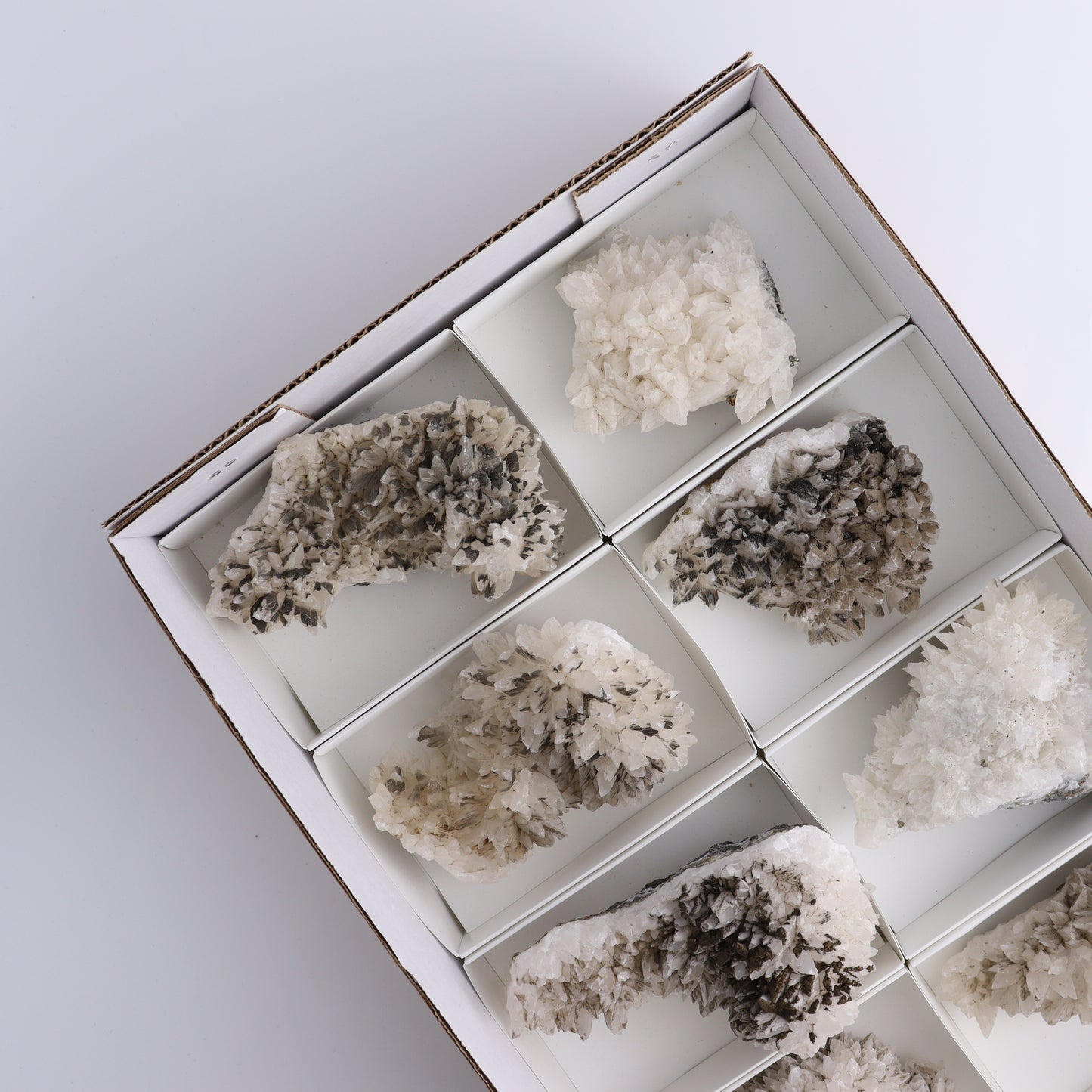 UV Reactive Calcite Flat Set of 8 - Expert Wholesale and Supplier of Wholesale Crystals & Bulk Gemstones, ["Calcite","Freeform","Freeforms","Mexico"]