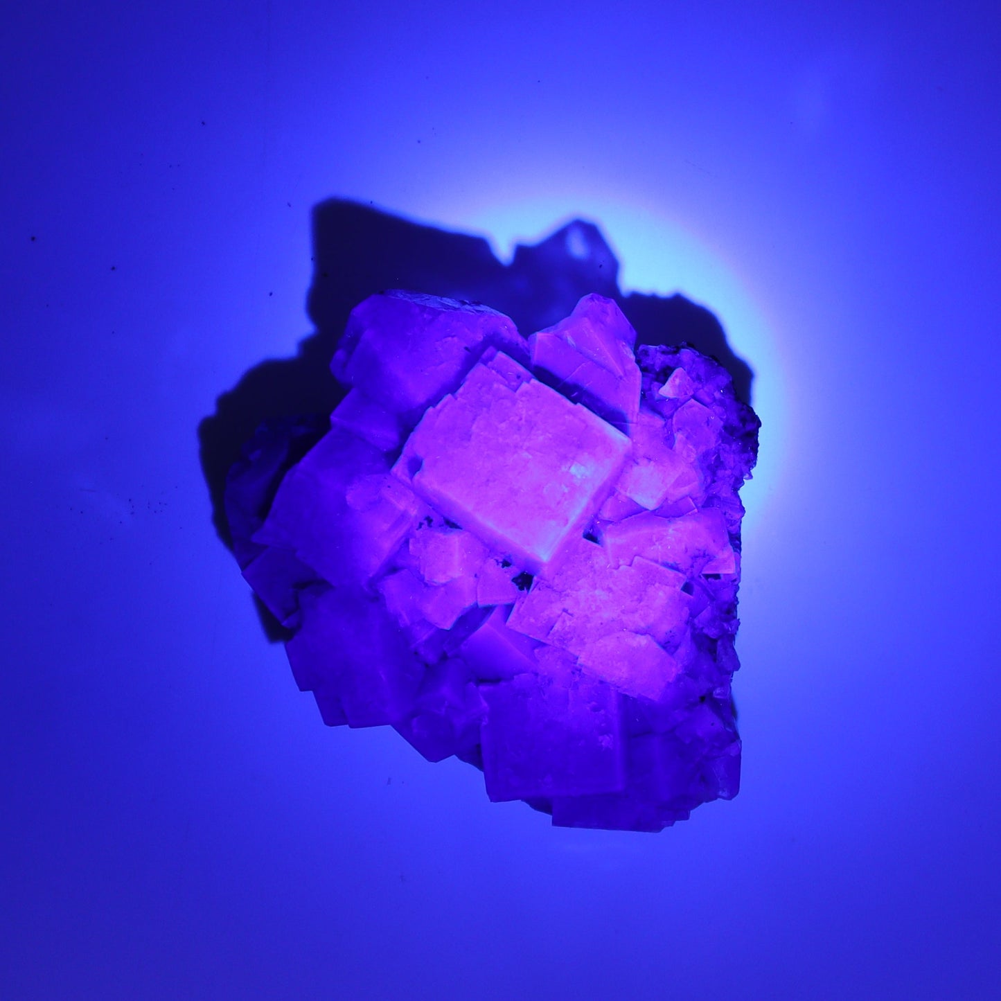 Fluorite Purple Rain Pocket Set of 8 - Expert Wholesale and Supplier of Wholesale Crystals & Bulk Gemstones, ["close_50","England","Fluorite","Purple Rain Pocket","Rough"]