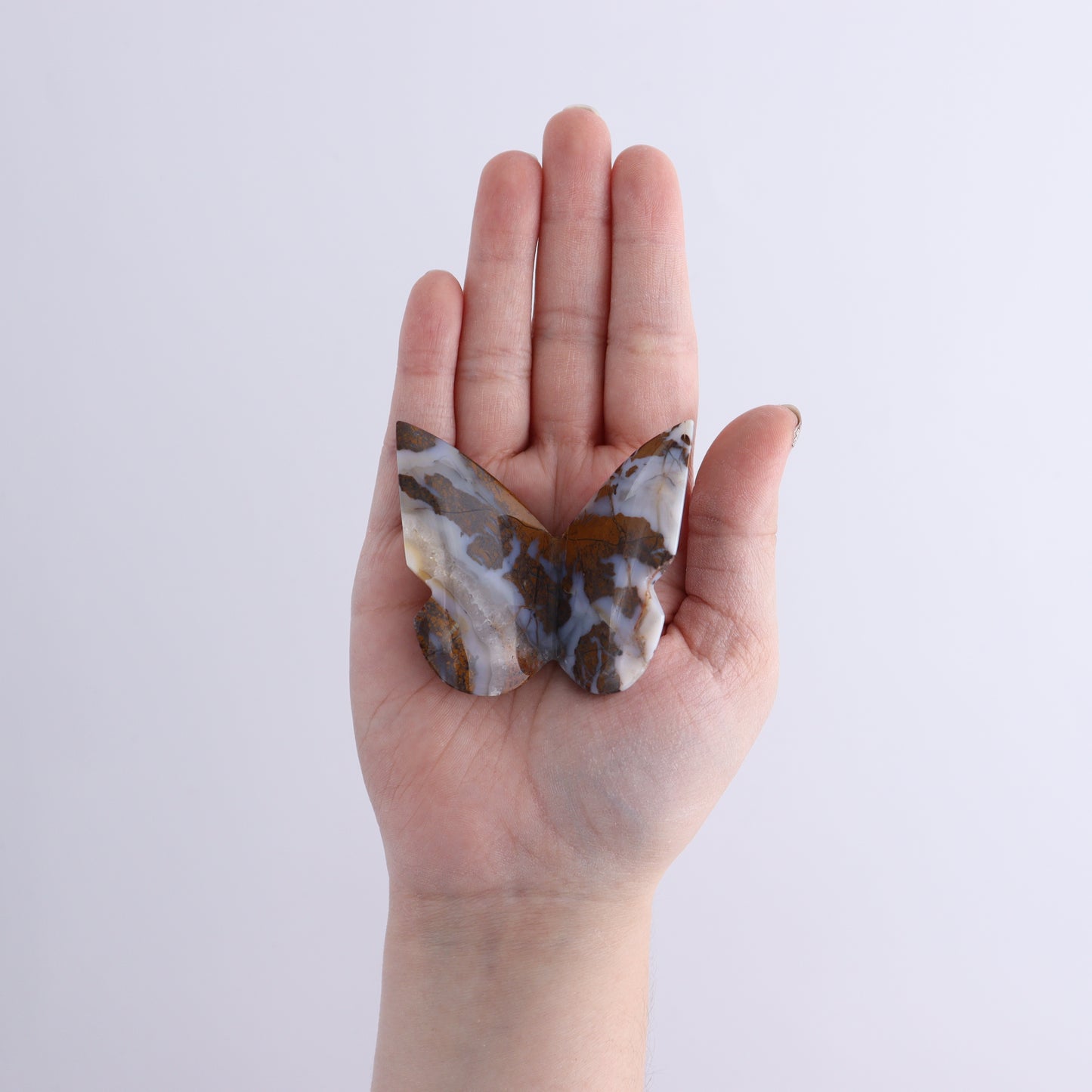 One Brecciated Jasper Butterfly - Expert Wholesale and Supplier of Wholesale Crystals & Bulk Gemstones, ["Brecciated Jasper","Butterflies","Butterfly","jasper"]