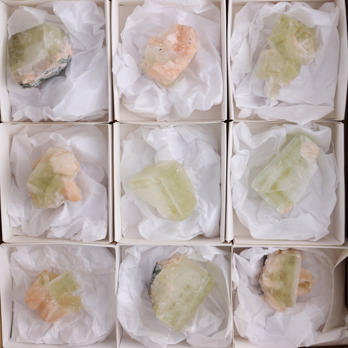 Apophyllite Clusters Flat of 12