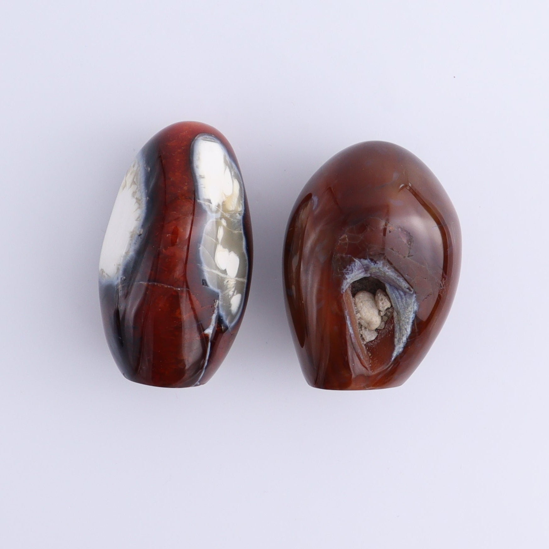 Carnelian Freeforms Set of 8 - Expert Wholesale and Supplier of Wholesale Crystals & Bulk Gemstones, ["carnelian","Freeform","Freeforms","Madagascar"]