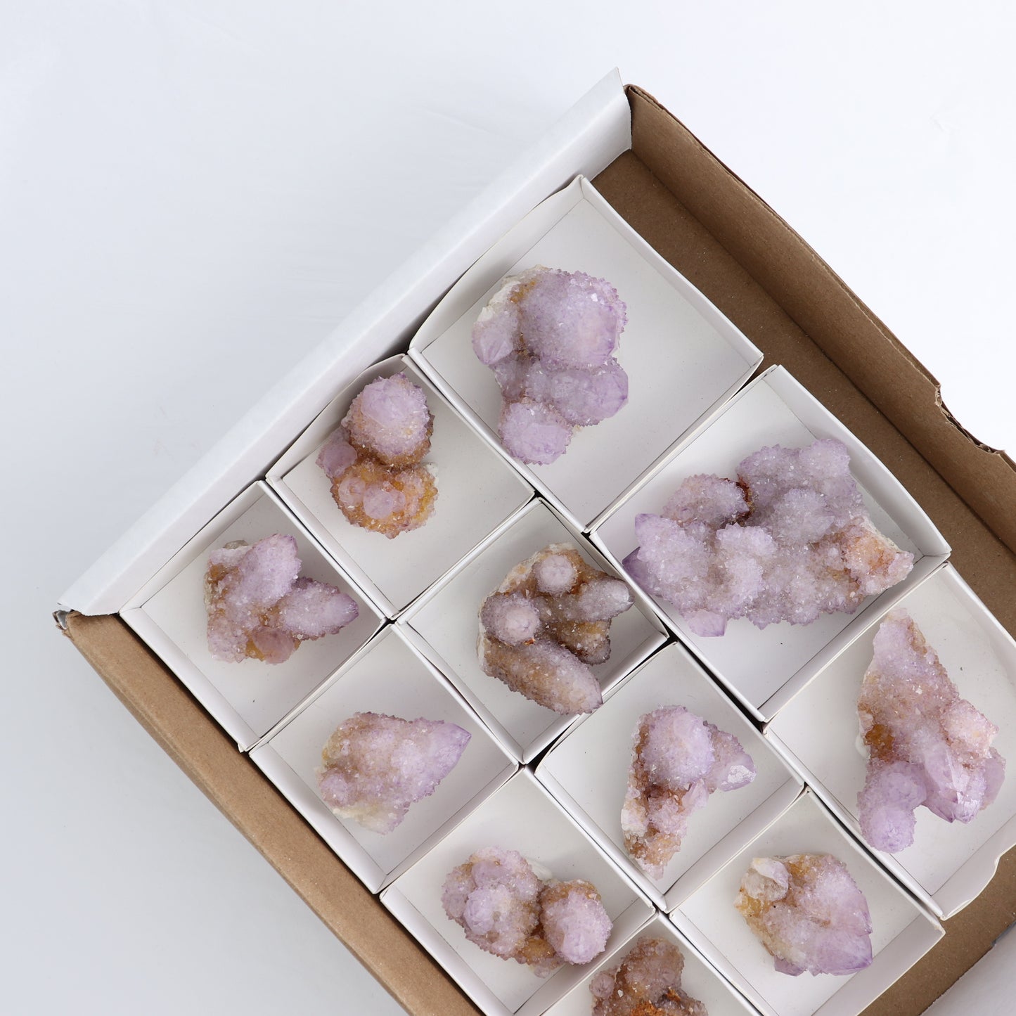 Cactus Quartz Set of 11