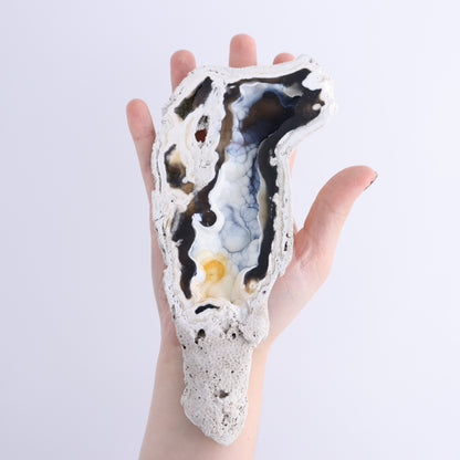 Agatized Coral Flat - Expert Wholesale and Supplier of Wholesale Crystals & Bulk Gemstones, ["Agate","Agatized Coral","Coral","United States"]