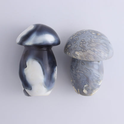 Agate Mushrooms Set of 5 - Expert Wholesale and Supplier of Wholesale Crystals & Bulk Gemstones, ["Agate","Madagascar","Mushrooms"]