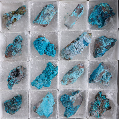 Chrysocolla on Quartz Roughs Set of 24 - Expert Wholesale and Supplier of Wholesale Crystals & Bulk Gemstones, ["Chrysocolla","Flats","Freeforms","Peru","Quartz","Rough"]