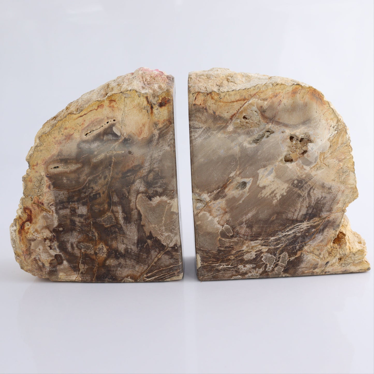Bookends Petrified Wood - Expert Wholesale and Supplier of Wholesale Crystals & Bulk Gemstones, ["Bookends","Indonesia","Petrified Wood"]