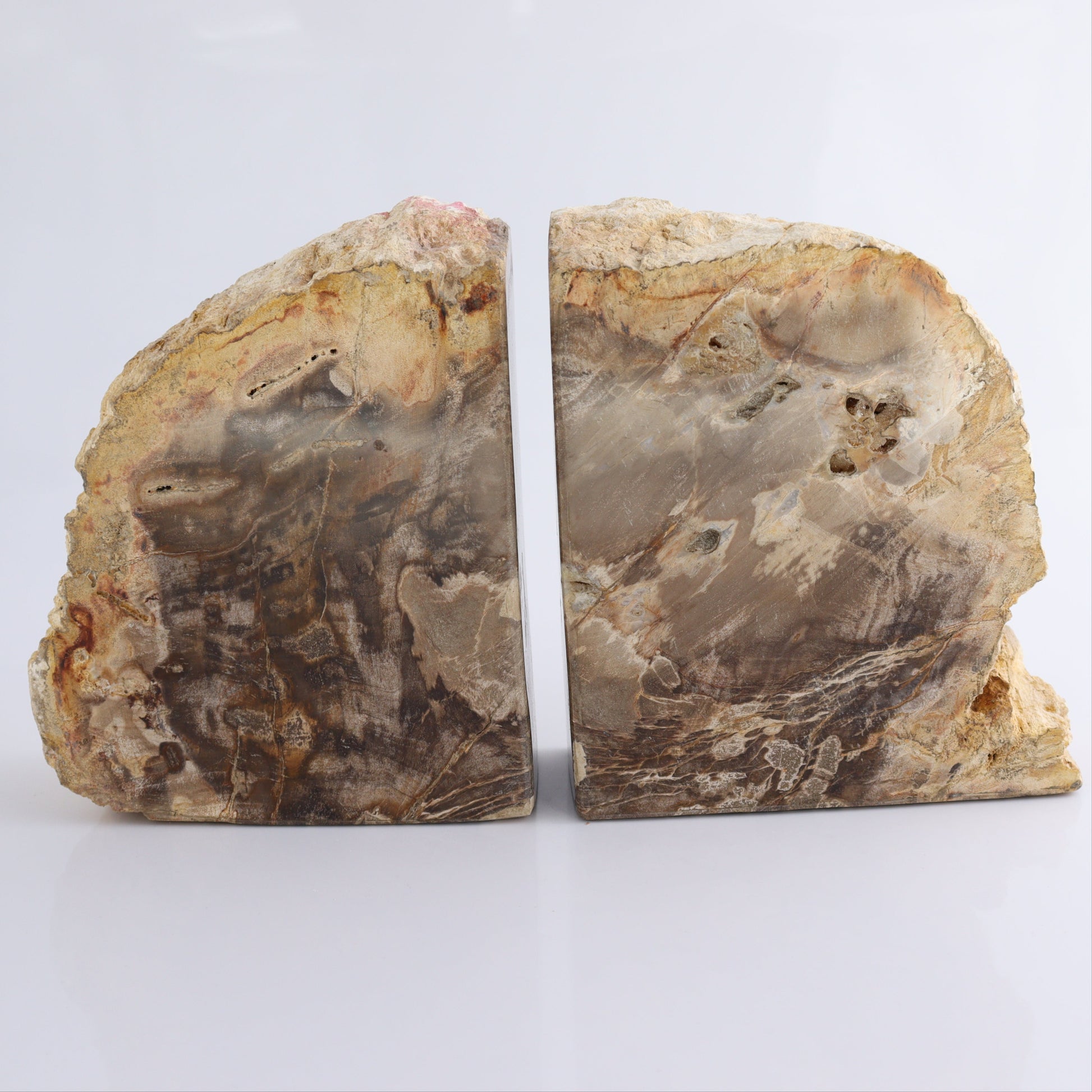 Bookends Petrified Wood - Expert Wholesale and Supplier of Wholesale Crystals & Bulk Gemstones, ["Bookends","Indonesia","Petrified Wood"]