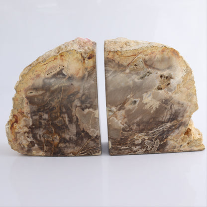 Bookends Petrified Wood - Expert Wholesale and Supplier of Wholesale Crystals & Bulk Gemstones, ["Bookends","Indonesia","Petrified Wood"]