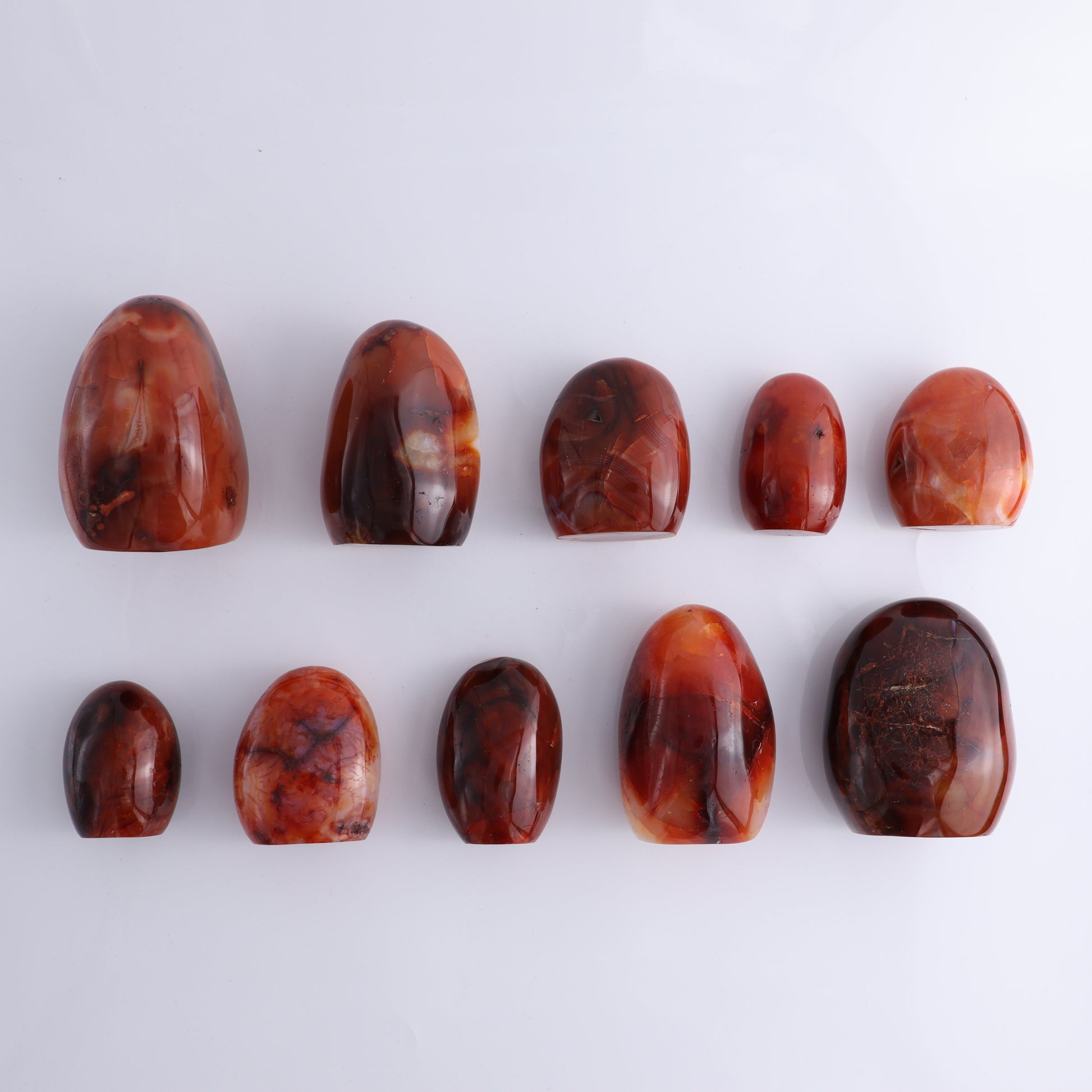 Carnelian Freeform Set of 10 - Expert Wholesale and Supplier of Wholesale Crystals & Bulk Gemstones, ["carnelian","Freeforms","Madagascar"]