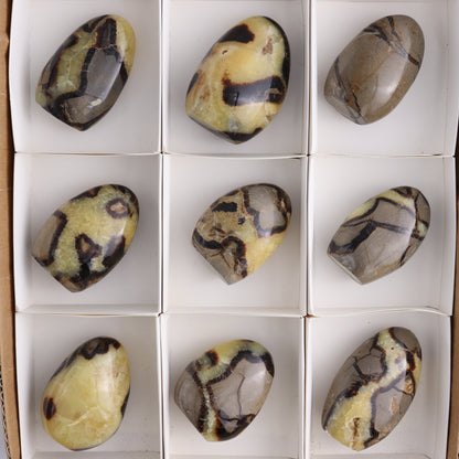 Septarian Freeforms Set of 12 - Expert Wholesale and Supplier of Wholesale Crystals & Bulk Gemstones, ["Freeforms","Madagascar","Septarian"]