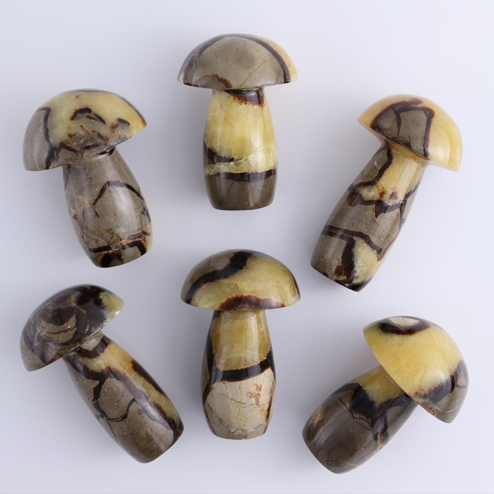 Septarian Mushrooms Set of 6 - Expert Wholesale and Supplier of Wholesale Crystals & Bulk Gemstones, ["Mushrooms","Septarian"]