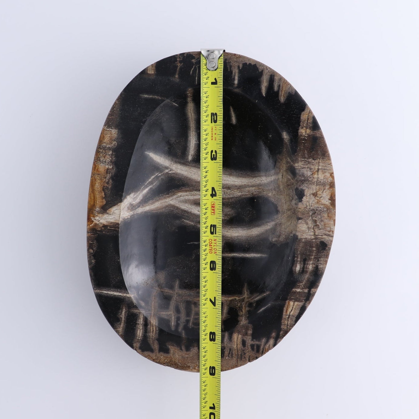 One Petrified Wood Black Polished Bowl
