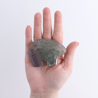 Fluorite Bears set of 6