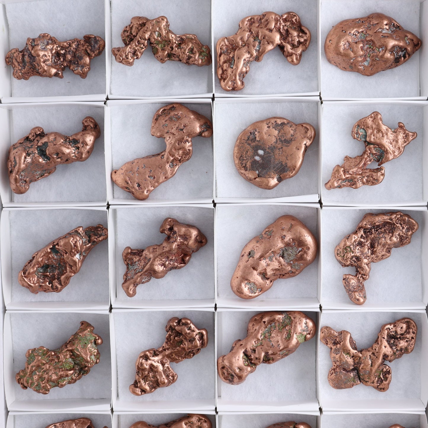 Copper Nuggets Flat of 24