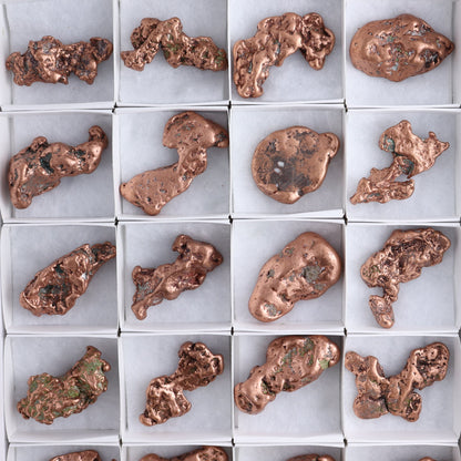 Copper Nuggets Flat of 24