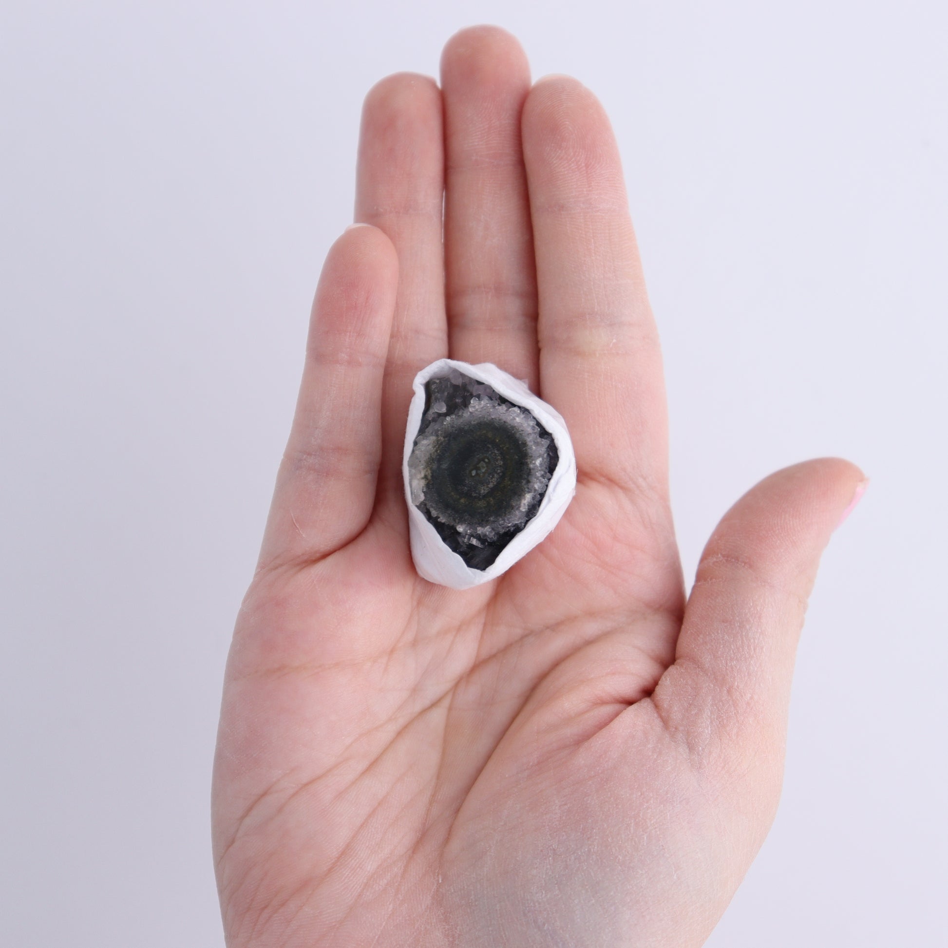 Uruguay Amethyst Clusters with "Eyes" Flat of 11 - Expert Wholesale and Supplier of Wholesale Crystals & Bulk Gemstones, ["Amethyst","Clusters","Eyes Amethyst","Uruguay"]