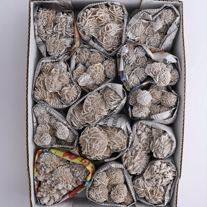 Desert Rose Set of 14 - Expert Wholesale and Supplier of Wholesale Crystals & Bulk Gemstones, ["Desert Rose","Freeforms","Morocco"]