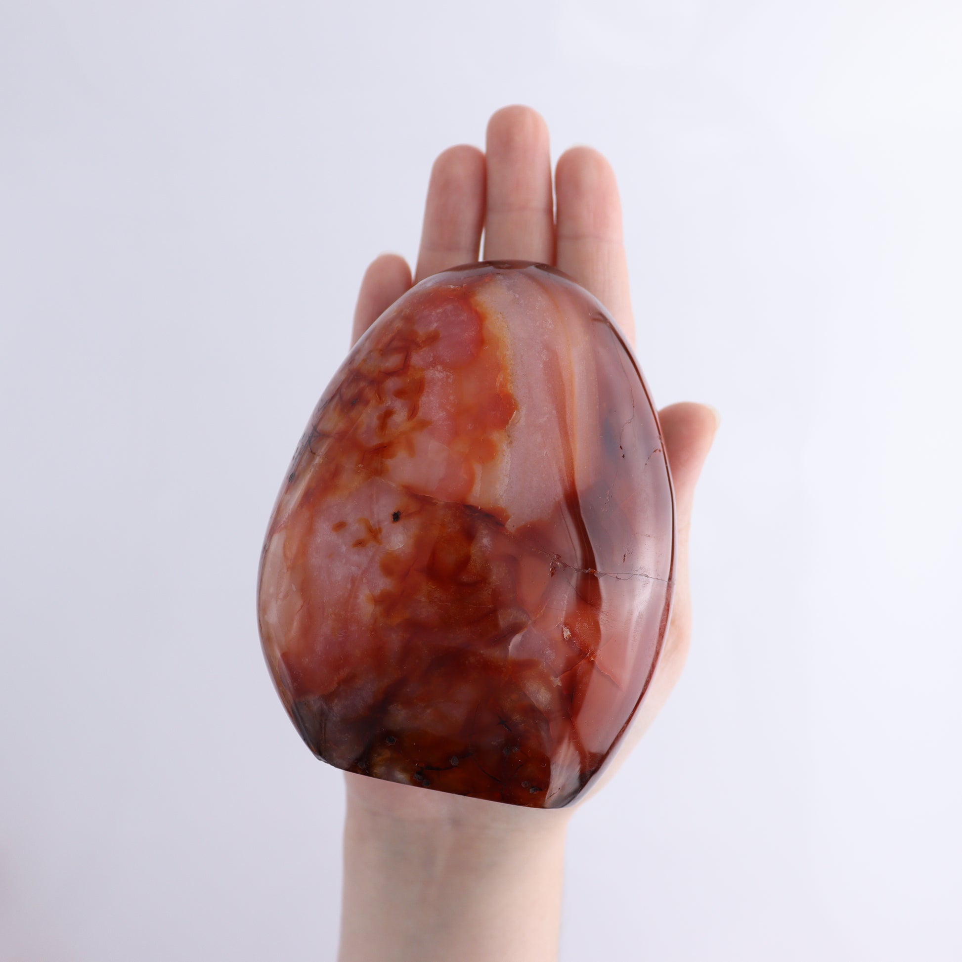 Carnelian Freeform Set of 10 - Expert Wholesale and Supplier of Wholesale Crystals & Bulk Gemstones, ["carnelian","Freeforms","Madagascar"]