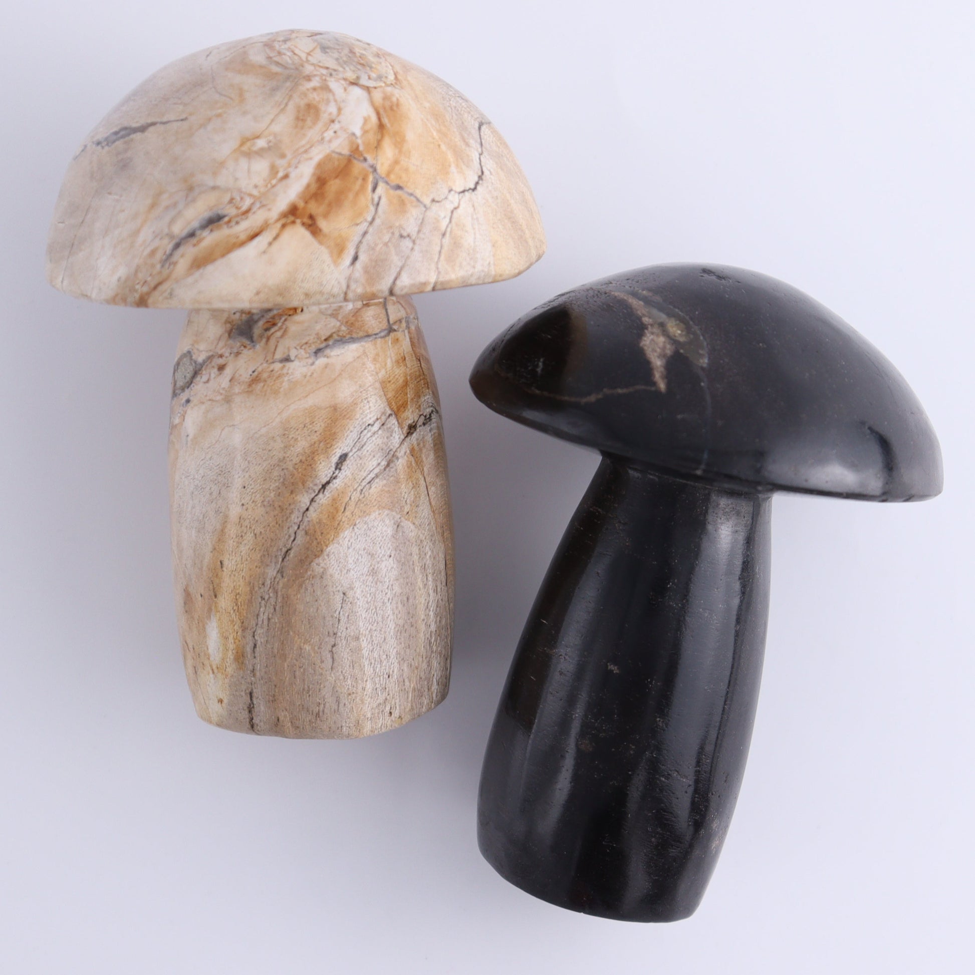 Petrified Wood Mushrooms Set of 4 - Expert Wholesale and Supplier of Wholesale Crystals & Bulk Gemstones, ["Indonesia","Mushrooms","Petrified Wood"]