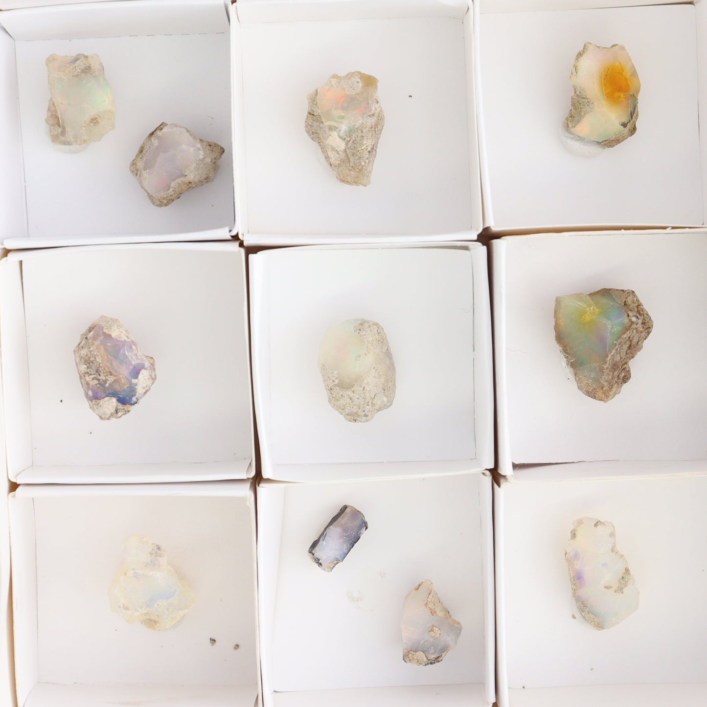 Ethiopian Opal Set of 11 - Expert Wholesale and Supplier of Wholesale Crystals & Bulk Gemstones, ["Ethiopia","ethiopian opal","Opal"]
