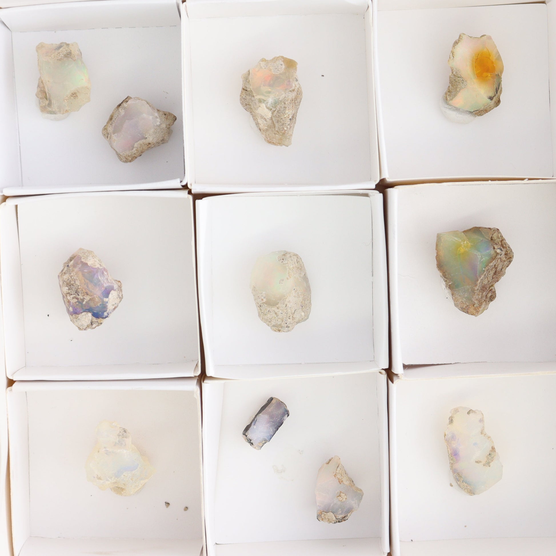 Ethiopian Opal Set of 11 - Expert Wholesale and Supplier of Wholesale Crystals & Bulk Gemstones, ["Ethiopia","ethiopian opal","Opal"]
