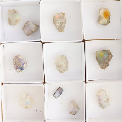 Ethiopian Opal Set of 11 - Expert Wholesale and Supplier of Wholesale Crystals & Bulk Gemstones, ["Ethiopia","ethiopian opal","Opal"]