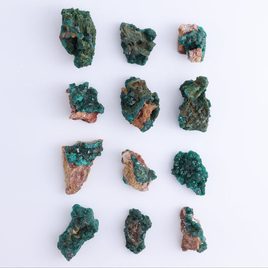 Dioptase Set of 12 - Expert Wholesale and Supplier of Wholesale Crystals & Bulk Gemstones, ["dioptase","Freeform","Freeforms"]