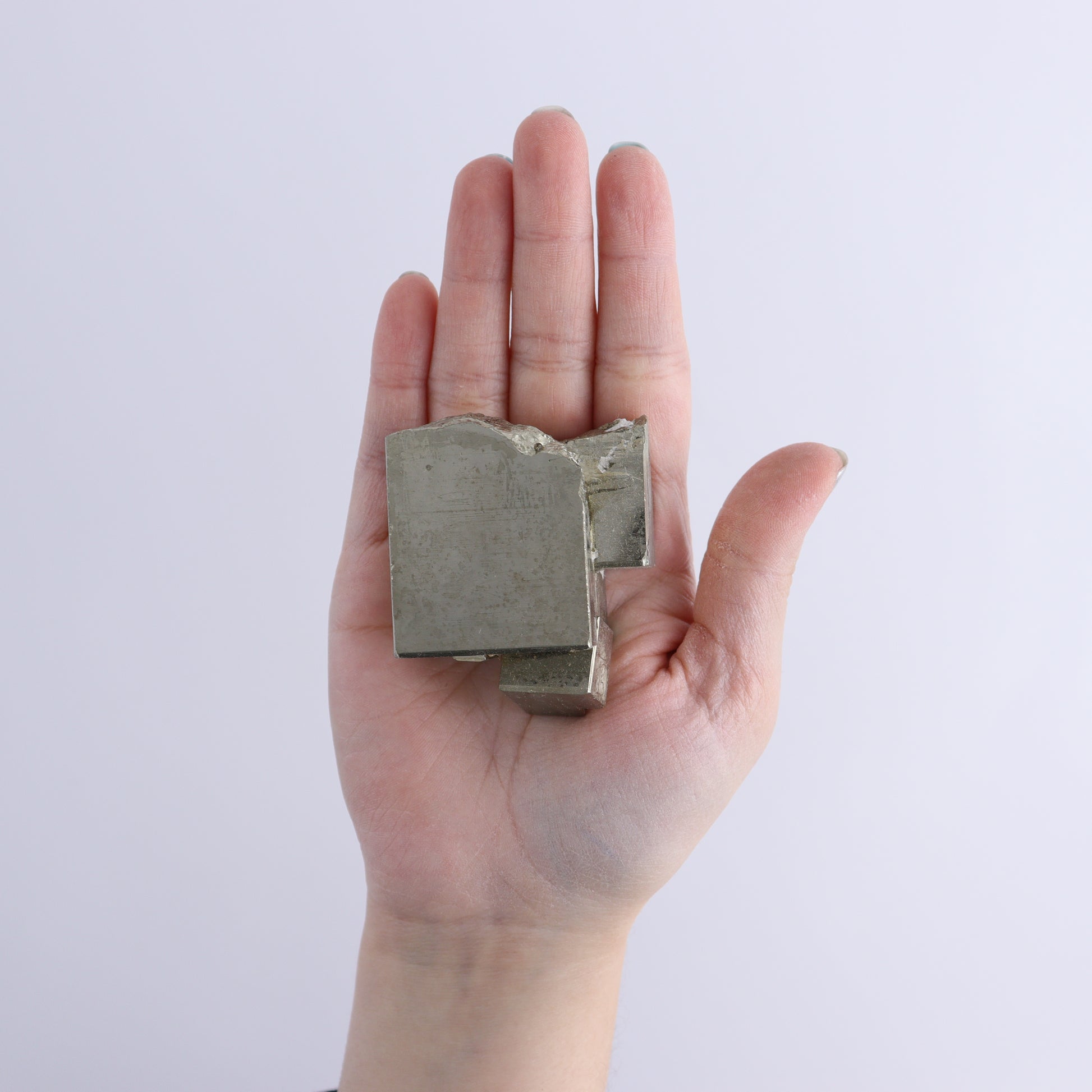 Pyrite Flat of 12 - Expert Wholesale and Supplier of Wholesale Crystals & Bulk Gemstones, ["flat","Flats","Pyrite"]