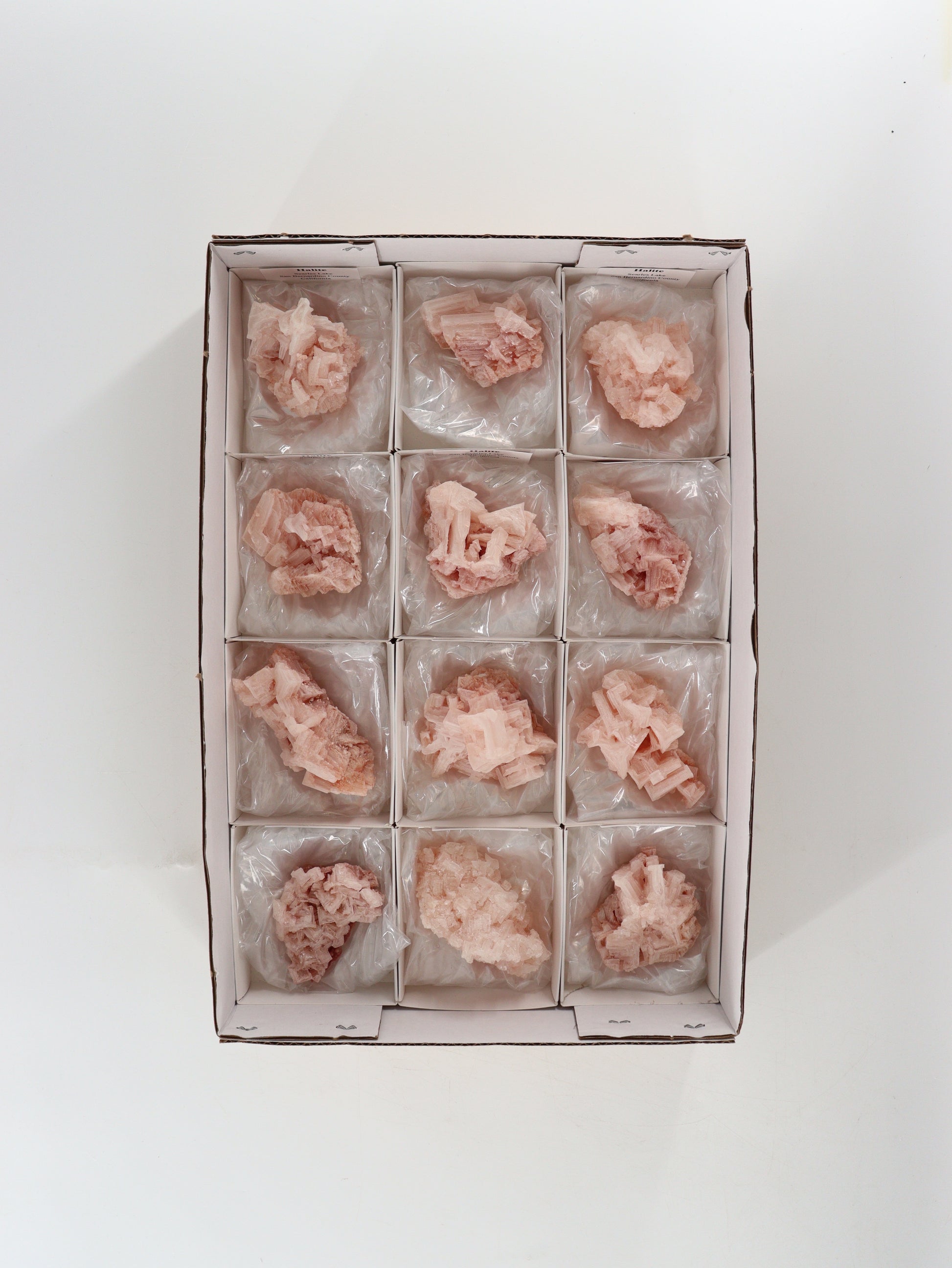 Halite Flat Set of 12 - Expert Wholesale and Supplier of Wholesale Crystals & Bulk Gemstones, ["close_30"]