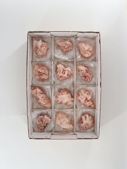 Halite Flat Set of 12 - Expert Wholesale and Supplier of Wholesale Crystals & Bulk Gemstones, ["close_30"]