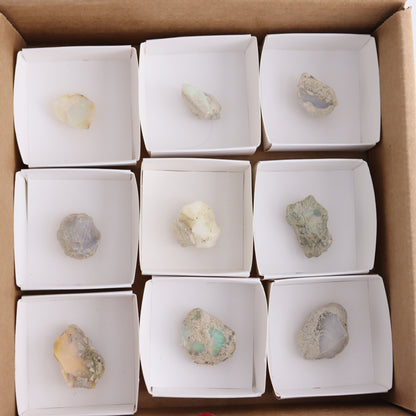 Ethiopian Opal Flat of 9 - Expert Wholesale and Supplier of Wholesale Crystals & Bulk Gemstones, ["ethiopian opal","Freeforms","Mexico","Opal","Rough"]