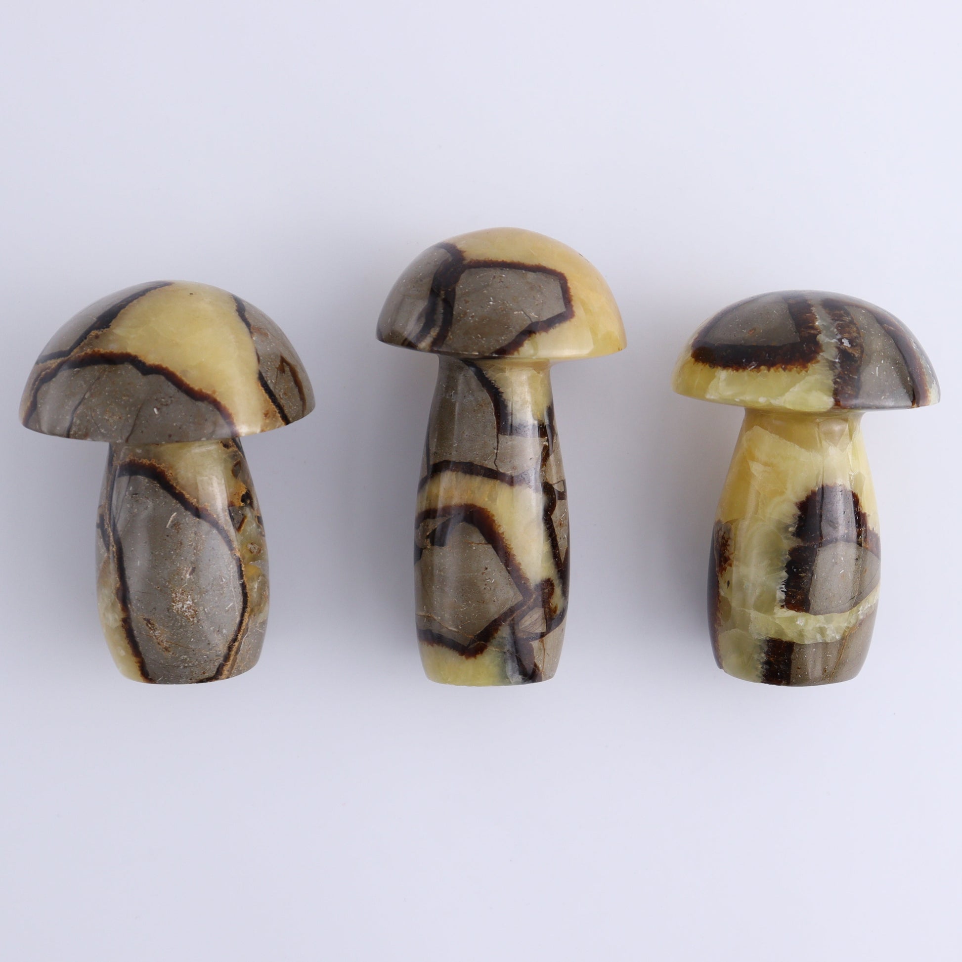 Septarian Mushrooms Set of 6 - Expert Wholesale and Supplier of Wholesale Crystals & Bulk Gemstones, ["Mushrooms","Septarian"]