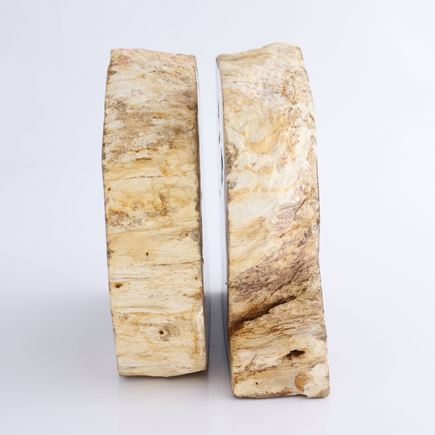 Bookends Petrified Wood - Expert Wholesale and Supplier of Wholesale Crystals & Bulk Gemstones, ["Bookends","Indonesia","Petrified Wood"]