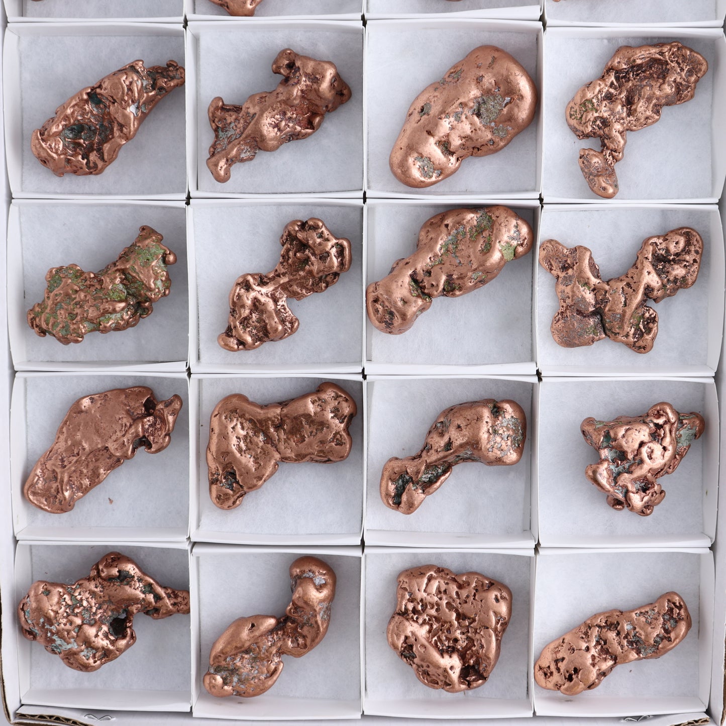 Copper Nuggets Flat of 24